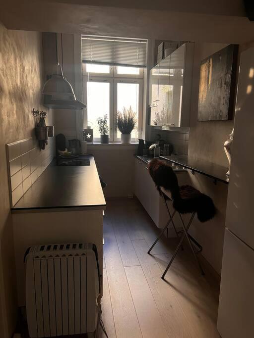 Royal Neighbourhood Elegant Flat In Central Осло Екстериор снимка