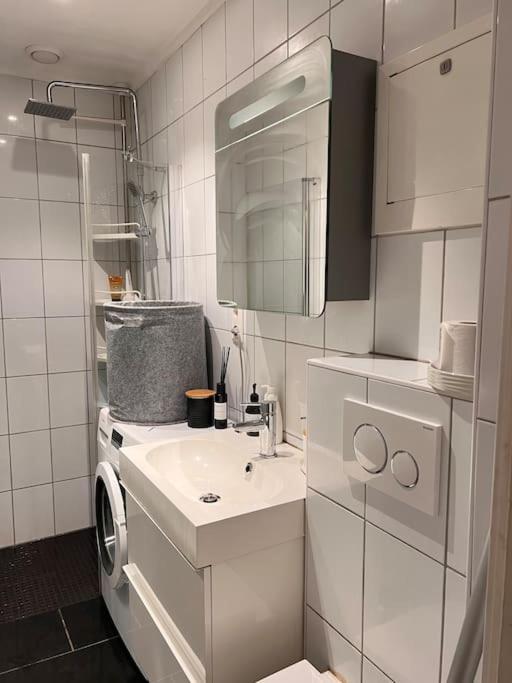 Royal Neighbourhood Elegant Flat In Central Осло Екстериор снимка